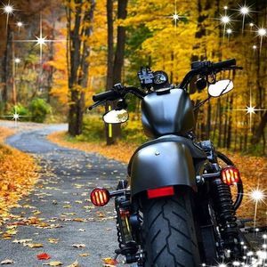 Meet your Posher, Yolanda